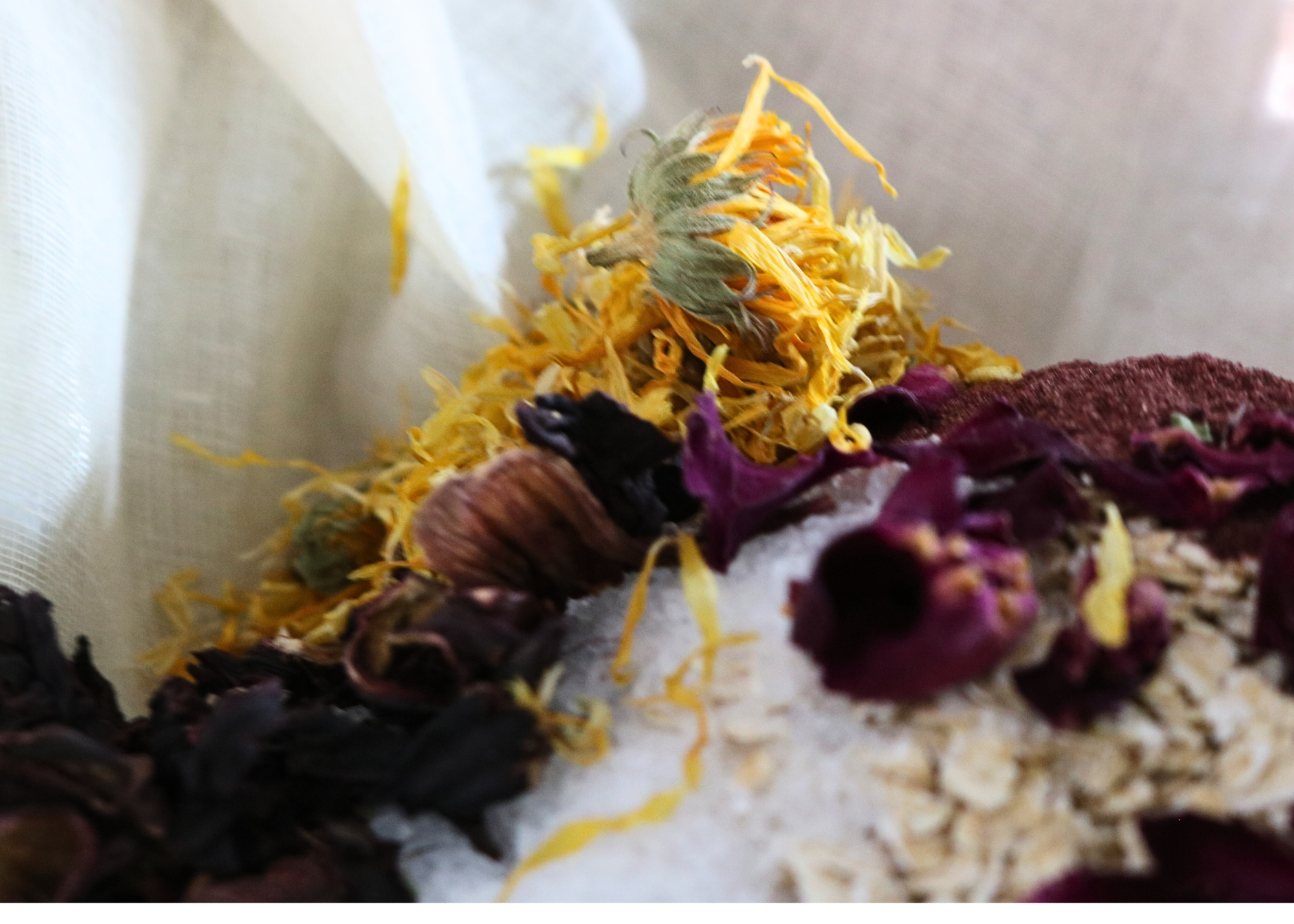 Oat Soak HOLIDAY COLLECTION